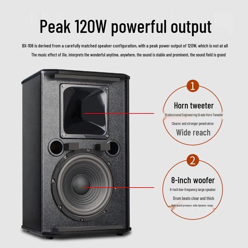 SHILE Conference Room Audio System with Wireless Microphones CN plug (adapter included)