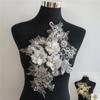 Computer Embroidery Three-Dimensional Gold Thread Embroidery Lace Collar Sequins Diy Imitation Pearl Lace Lace Clothing Accessories