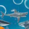 Mini Shark Simulated Floating Whales Aquarium Ornaments Realistic Floating Cartoon Figurines Odorless Fish Tank Decoration Vibrant Colors Miniature