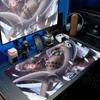 Anime Girl Ellen Joe Mouse Pad Laptop Office Long Table Mat Large Gamer Keyboard Carpet XXL Zenless Zone Zero Non-slip Mousepads