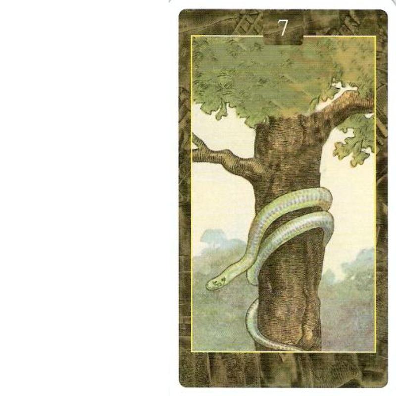 Карты Oracle Oracle Lo Scarabeo, аксессуары для украшения дома