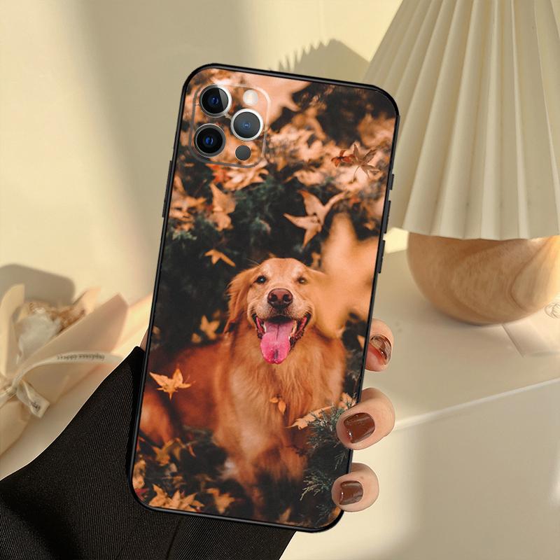 Golden Retriever Friend Phone Case For iPhone 15 14 13 12 11 16 17 Pro Max 13 mini 15 16 Plus 16e 17 Air Cover Funda