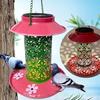 Solar-Powered Water-Feeding Dual-Purpose LED Bird Feeder