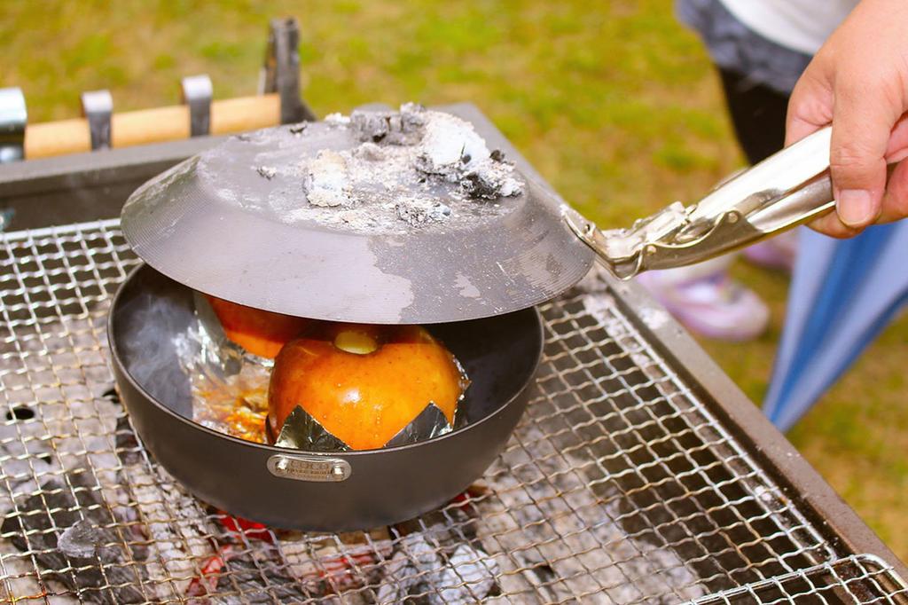 Сковорода из железа Ultimate SONS Iron Pot 20 см COCOpan совместима с IH Made in Japan C108-002