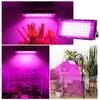 Full Spectrum LED Grow Light Phyto Lamp AC 220V 50W 100W 200W 300W With EU Plug For Greenhouse Hydroponic Plant Growth Lighting