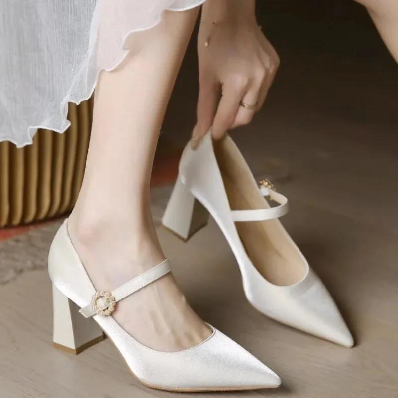 2025 Женская обувь Мэри Джейн Женские туфли на высоком каблуке Модные туфли-лодочки Женские туфли с острым носком и пряжкой на ремешке на толстом каблуке Женские