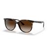 Солнцезащитные очки RB4378F Азиатская посадка Ray-Ban