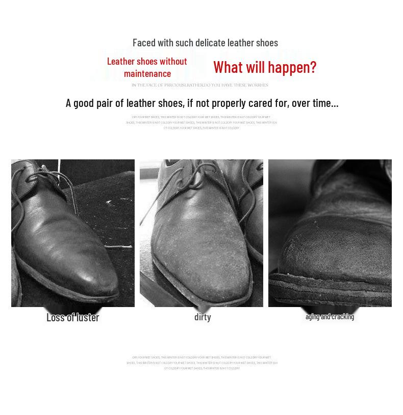 Leather Shoe Care Kit: Black & Colorless Polish, Cleaning & Maintenance Oil, Polishing Brush, Anti-Slip Treatment.