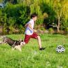 Dog Toys Soccer Ball Dog Outdoor Training Soccer Pet Bite Chew Balls For Dog Aggressive Chewer
