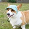 Dog Hat Leaking Ears Cute Breathable Sun Protection Pet Sun Hat Shiba Inu Corgi Baseball Cap