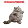 Soft Surface Cat Shaped Rug Special-shaped Animal Door Mat Fashion Bathroom Floor Mat  Home Decor