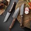 Forging Household Kitchen Fruit Knife Portable Meat Cutter Knife Slicing Knives