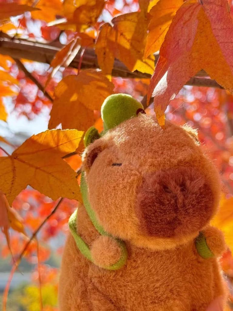 REDICE Capybara Plush Portable Stuffed Gentle On the Skin Softness Squishy Capybara Plush Christmas Gift Toy, Animal, [Authentic] [2025 Improved] Toy,