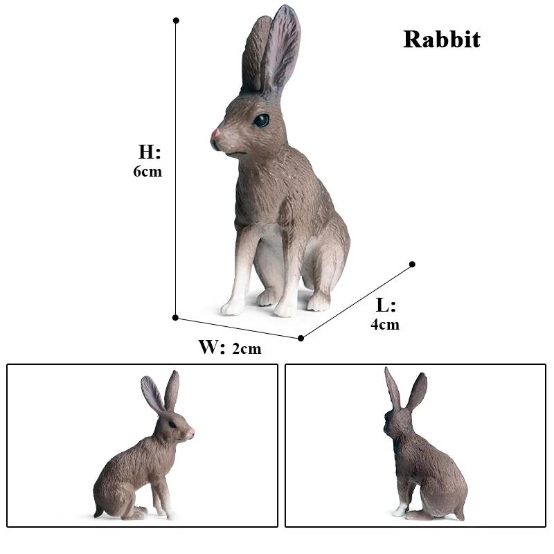Oenux Lovely Farm Rabbit Bunny Model Action Figure Figurine Wild Desert Cottontail Hare Cute PVC Decoration Education Kid Toy