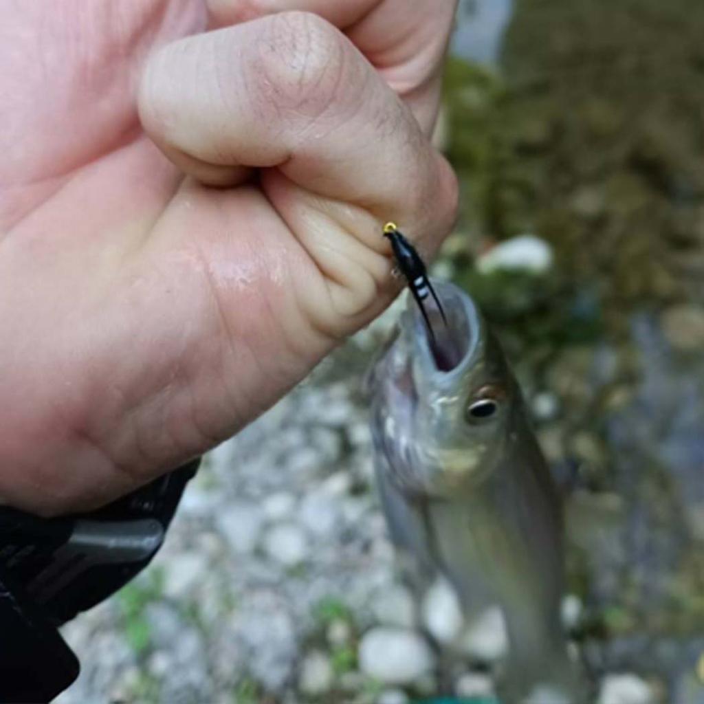 25 шт., приманка для рыбалки нахлыстом, сухие мокрые мухи, искусственная приманка нимфы, приманка для ловли карпа, форели