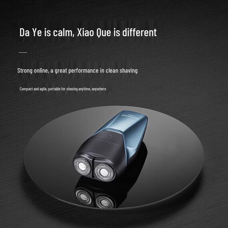 FLYCO FS889 Men's Portable Electric Shaver CN plug (adapter included)