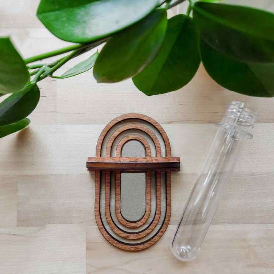 Wooden Test Tube Rack Wall Mounted Flowers Plants Holder Stand Home Office Classroom Decor Plant Propagation Station