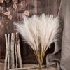 Elegant Home Decor Artificial Flowers Home Decoration Reed Grass Flowers