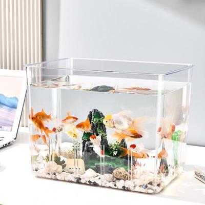 Прозрачный роскошный аквариум с перегородкой: Экологичный настольный аквариум для петушков, золотых рыбок и черепах с водными растениями
