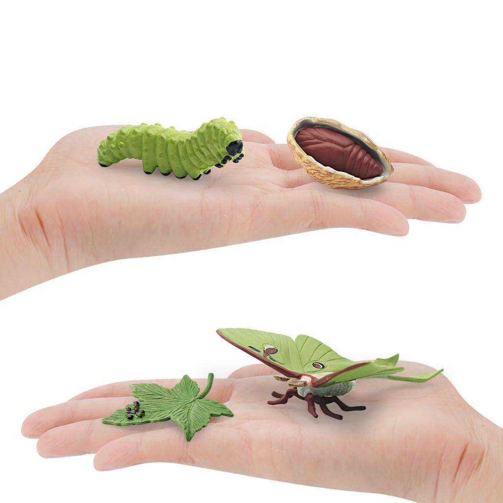 Реалистичная ПВХ Модель Цикла Роста Лунного Мотылька из 4 Частей Детализированный Набор Фигурок для Демонстрации