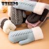 Warm Gloves Ladies Winter Korean Version Cute Plus Velvet Thickening Student Cycling Woolen Cold-proof Twist Gloves