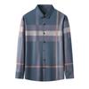 Spring New Young and Middle-Aged Men's Long-Sleeved Shirt Fashionable Korean Striped Loose Shirt Dad Wear