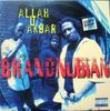 12-дюймовая пластинка BRAND NUBIAN - Allah U Akbar 066320 Elektra 1993 US Рэп и хип-хоп/R&B Б/У