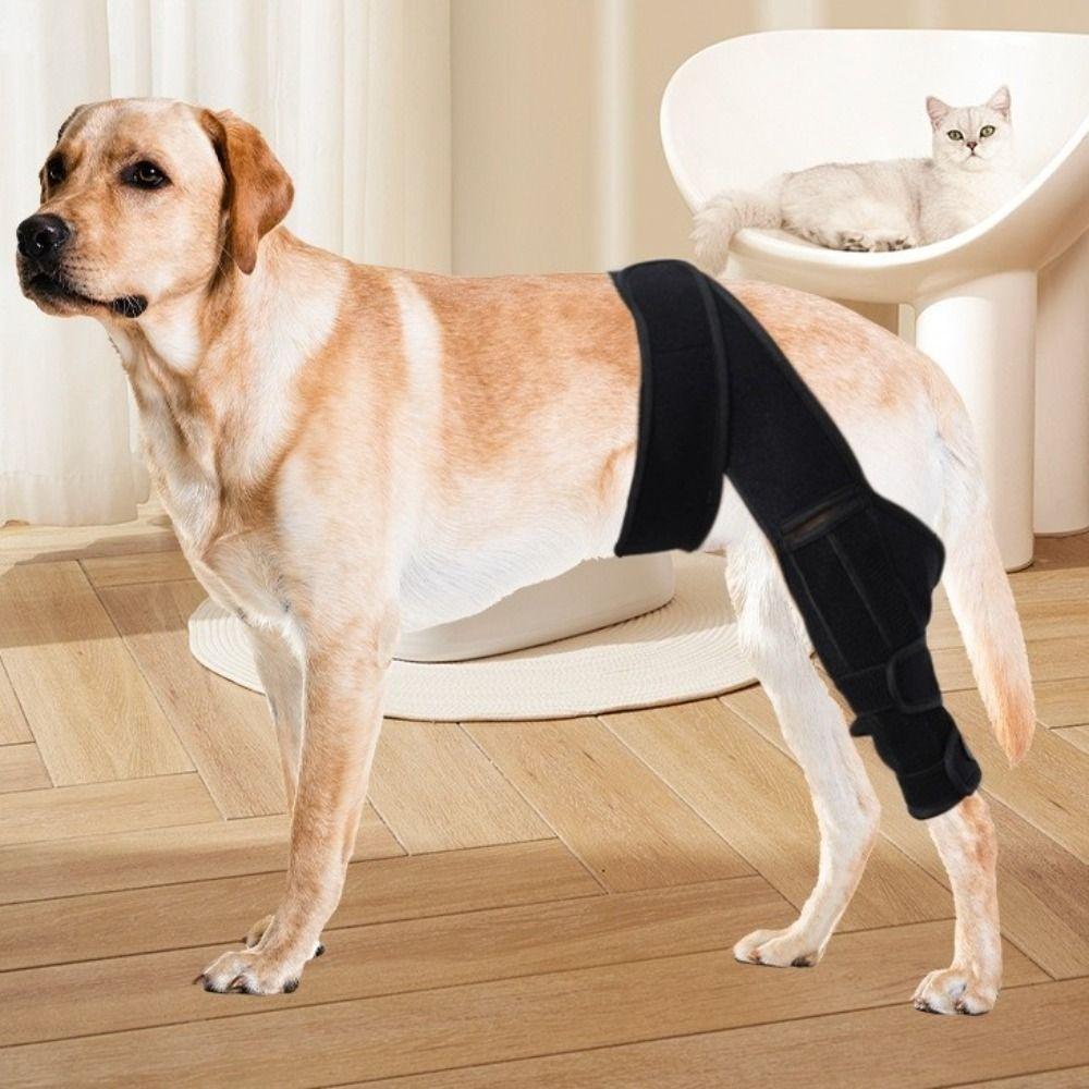 Adjustable Pet Joint Protection Covers Comfortable Breathable Dog Knee Brace Rear Leg Brace Dog Knee Pads Leg Injury Care