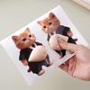 3D Мягкие Силиконовые Наклейки-Сжимашки для Снятия Стресса, Кот и Собака с Большим Животом, Красивые Анти-столкновительные Наклейки для Дома/Автомобиля