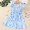 Girls Fashion Flying Sleeve Princess Dress Spring Summer Casual Dress for Children