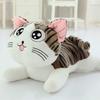 1Piece Plush Toys Chi's Cat Stuffed Soft Animal Dolls 20cm Cheese Cat Stuffed Toy Doll