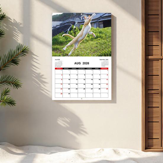 Календарь 2026 Январь 2026 - Декабрь 2026 12-месячный планер Настенный календарь «Кот Кунг-фу» для декора дома, офиса, общежития