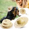 Pet Dog Cosplay Design Pet Hat Dog Party Holiday Costumes