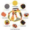 Dog Chest Harness With Nylon Material And Non Extendable Leash For Small Pets