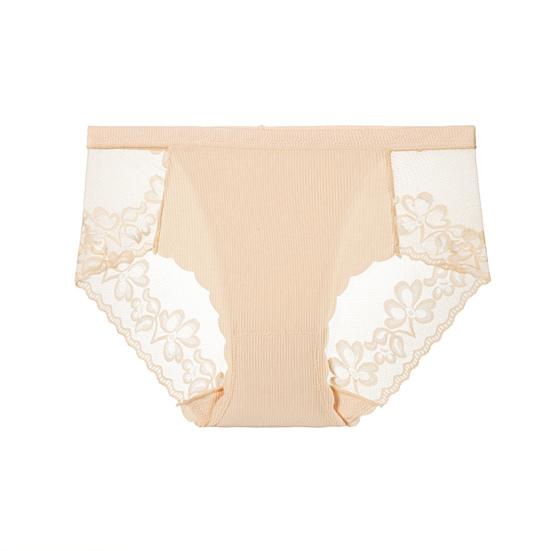 Sexy Lace Underwear for Women Mid Rise Seamless Floral Lace Sheer Briefs Stretchy No Show Hipster Panties