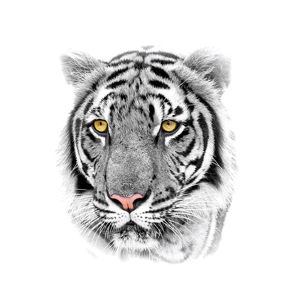 [Ice] Мужчины и женщины рука татуировки временные татуировки наклейки поддельные татуировки горячие 3D водонепроницаемый