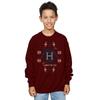 Harry Potter Boys Christmas Knit Sweatshirt