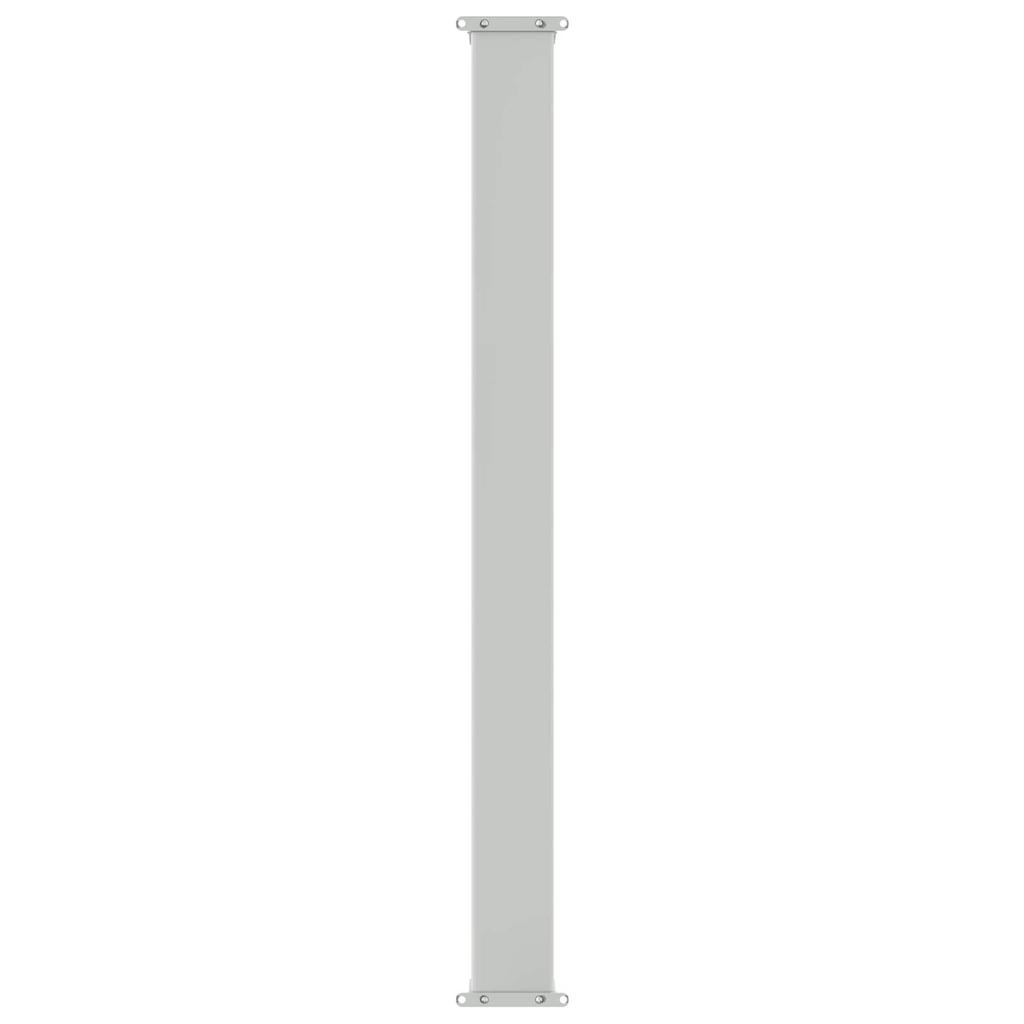 Retractable Side Awning Taupe 300 x 120 cm Polyester