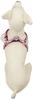 Petio Little Angel Love Dog Harness White for Extra Small Dogs SS Size