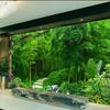 Green Bamboo 3d Mural Bamboo Wall Paper Living Room Bedroom Sofa Tv Background Wallpaper