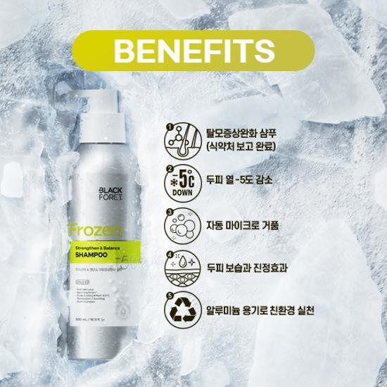 Blackforet Frozen Scalp Укрепляющий и балансирующий шампунь против выпадения волос 500 мл