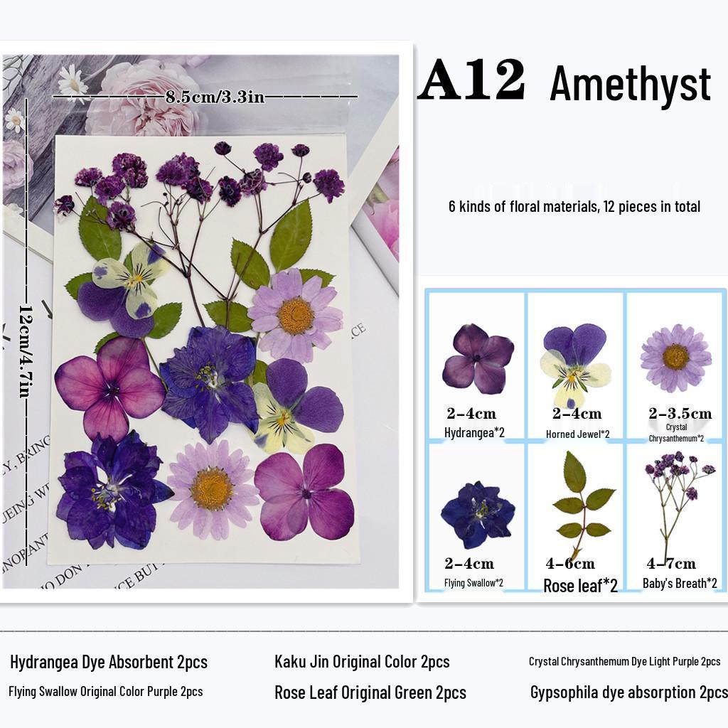 Maifeng Pressed Flower Art Pack: Dried Flower Material and Real Plant Specimens.