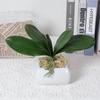 Plastic Real Touch Orchid Green Plastic Leaves Simulation Plant Simulation Leaf  Home Decor