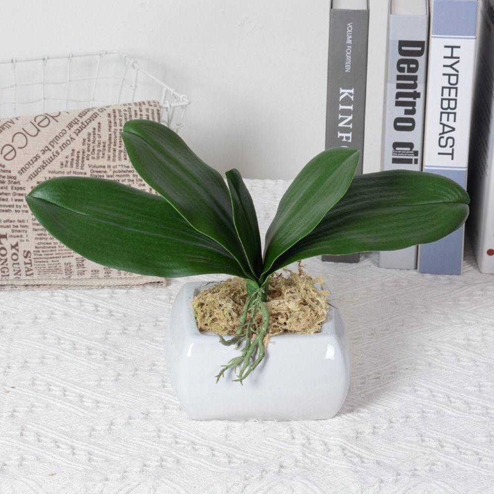 Plastic Real Touch Orchid Green Plastic Leaves Simulation Plant Simulation Leaf Home Decor