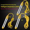 Floating Immersion Suspension Heating Rod Stainless Steel Automatic Power-off Electric Water Heater