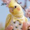Cartoon Print Bird Diaper Parrot Diaper, Cute with Bow, Elastic Strap Reusable Nappy Flight Suit for Cockatiels Lovebirds Budgerigars Comfortable
