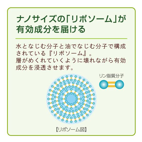 LA SINCIA Lipoderm Lipo Lotion G лосьон с липосомами, 500мл.