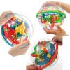 100 Steps 3D  Ball with Gift Educational Toys Puzzle Balance Logic Ability Game for Children Adults
