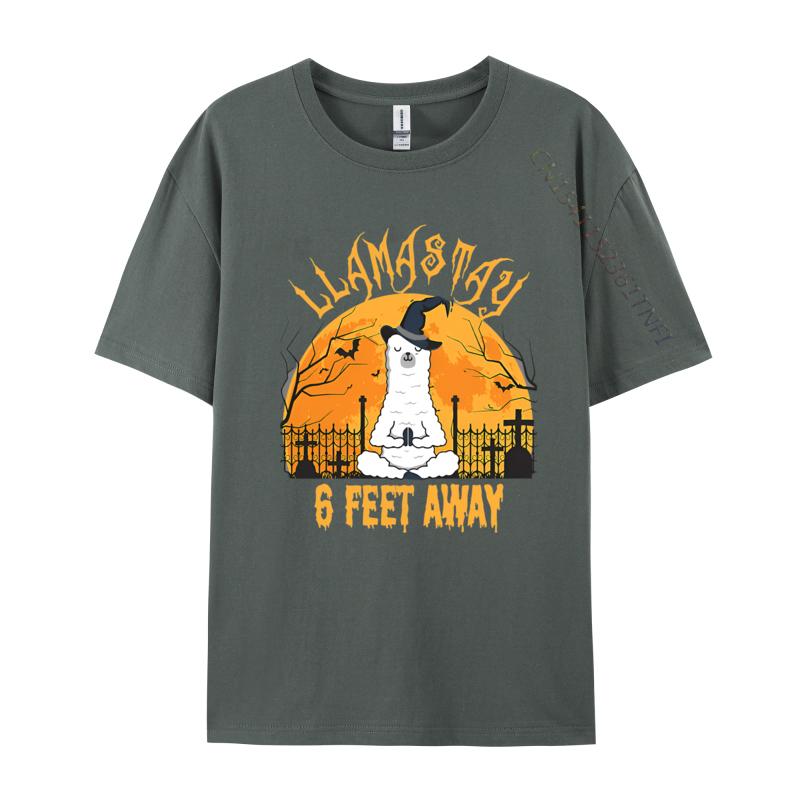 Llamastay 6 Feet Away Halloween Llama Tshirts Cute T Shirt Hiphop TShirts For Unisex Streetwear Cotton