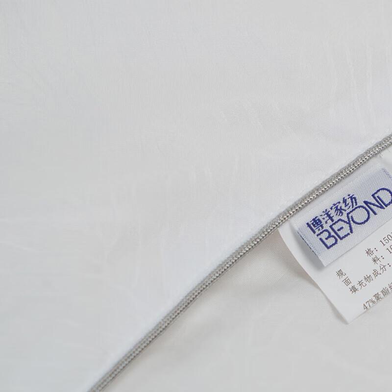 Beyond Kids Silk Quilt